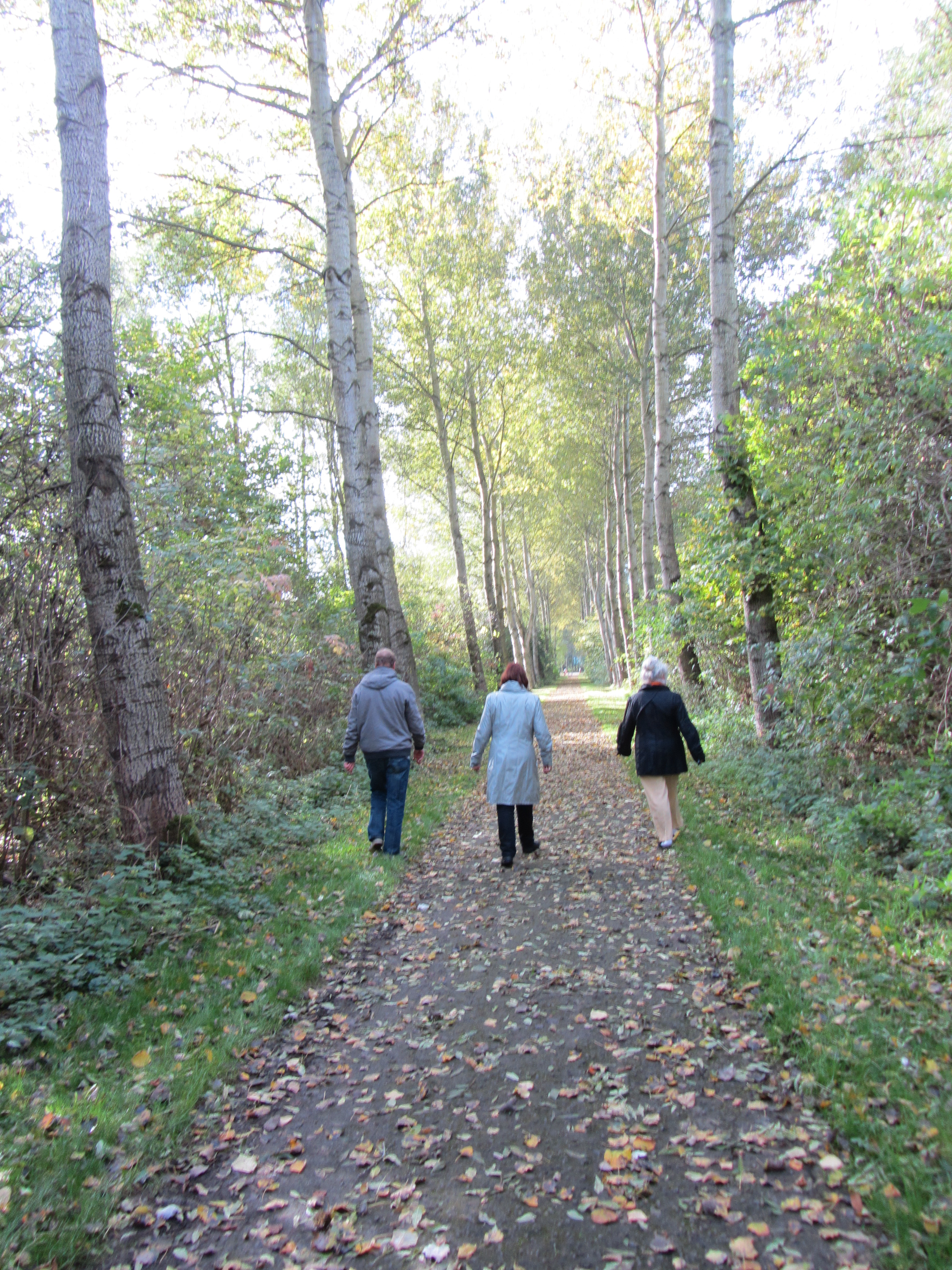 Ipad Marianne 102.JPG